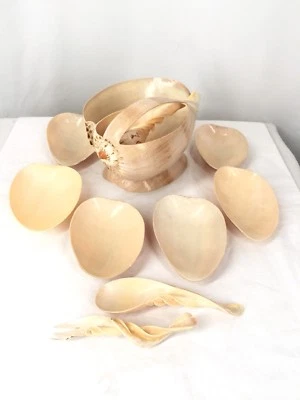 Sea Shell Salad Desert Appetizer Serving Bowl 6 Clam Plates Real Shells - Image 1 of 4