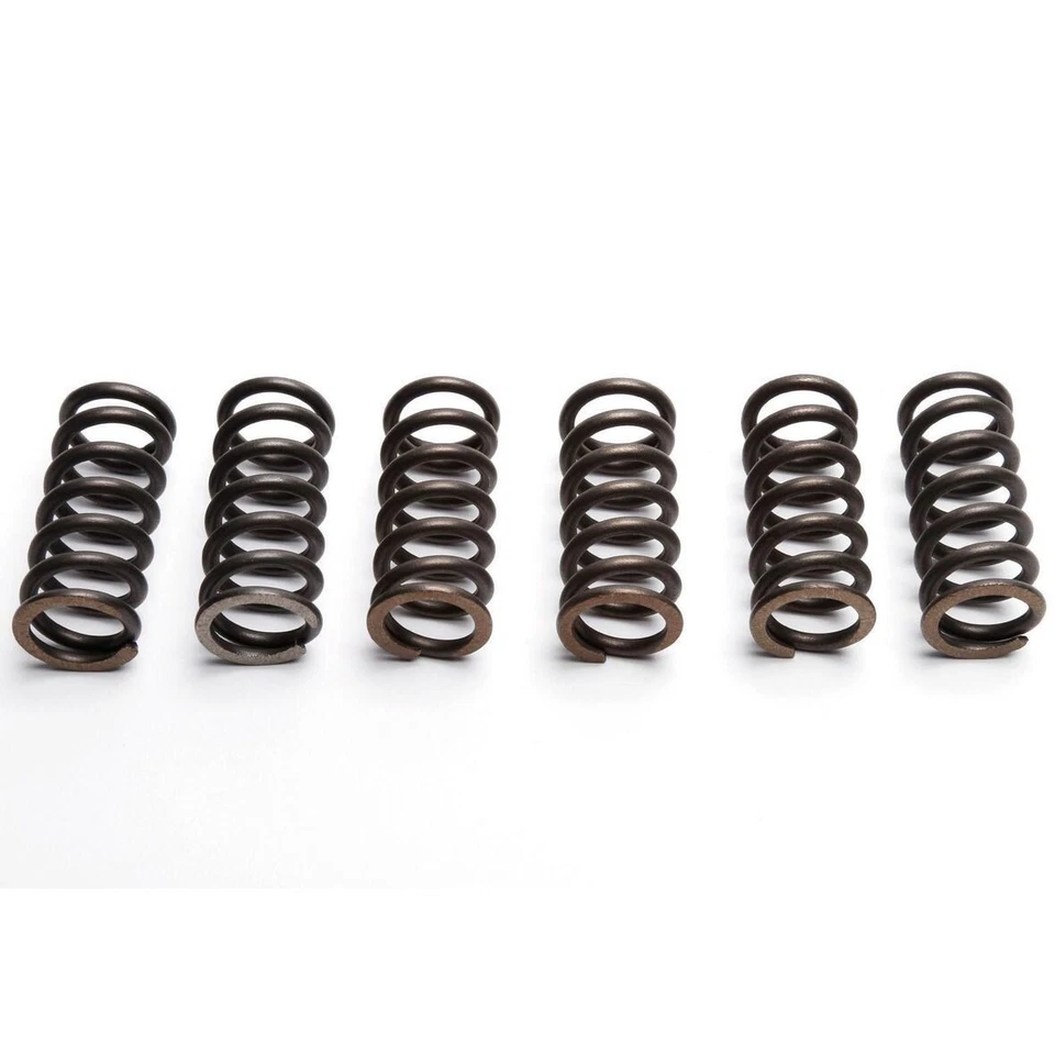 EBC Clutch Spring Set (6 PCS) Yamaha IT 250 L 1984 - Image 1 of 1