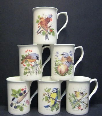 R A LAWRENCE Set Of 6 Mugs Country Birds Fine Bone China Mugs Cups Beakers By Mellor