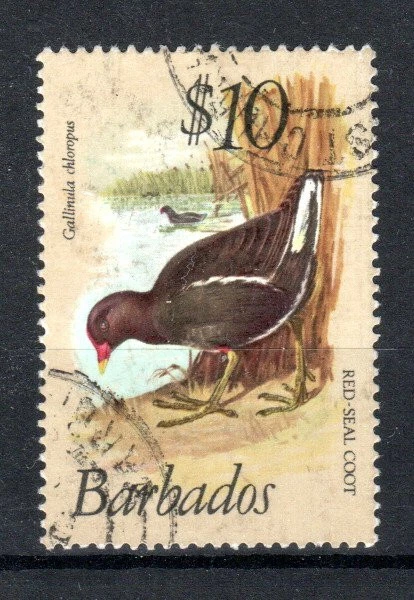 Barbados 1979-83 $10 Moorhen SG 638 FU CDS — 第 1/1 张图片