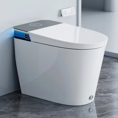 Inodoro bidé inteligente HOROW T38P con tapa abierta automática ADA, protector de espuma potente descarga Foto 1 de 4