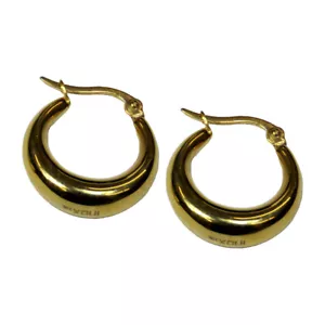 Women's Polished Stainless Steel Golden Hoop Earrings - Picture 1 of 2