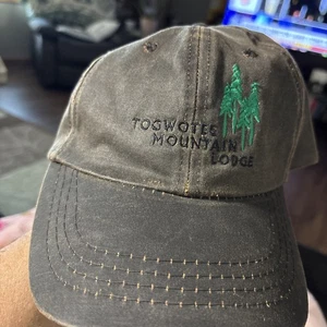 TOGWOTEE MOUNTAIN LODGE Cap Hat Adult Mens Adjustable Strap DPC Design Co. NWT - Picture 1 of 10