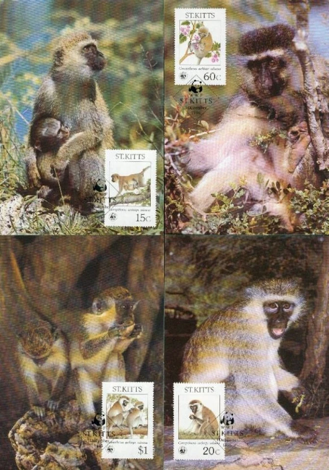 Saint Kitts 1986  ☀ W.W.F. - Fauna Monkeys ☀ 4x Max cards - Image 1 of 1