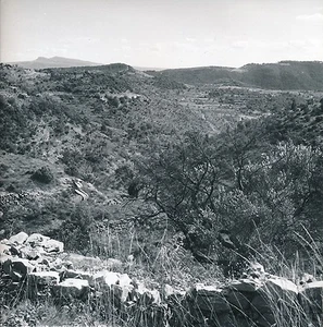 Vers ALÈS c. 1960 - Les Cévennes Panorama  Gard - DIV 8755 - Picture 1 of 2