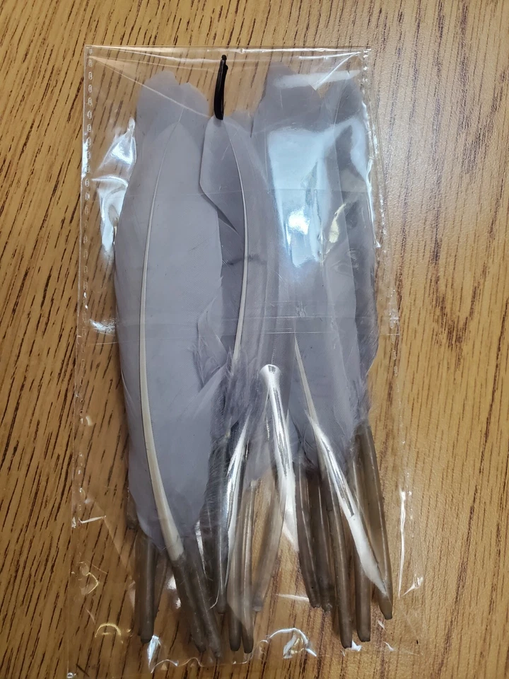 Lot of 20 Dyed 5-7" Domestic Goose Wing Quill Feathers - Image 1 of 1