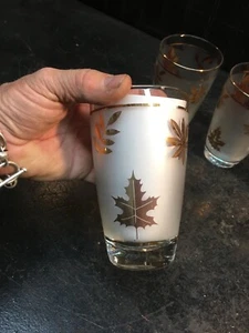 Vtg 6pc Libby Gold Leaf Frosted Drinking Glasses 12oz 1950's Midcentury Modern - Picture 1 of 5