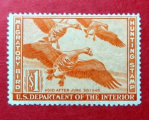 RW11 $1 – 1944 Migratory Bird Hunting Stamp – MNH - FVF - Picture 1 of 4