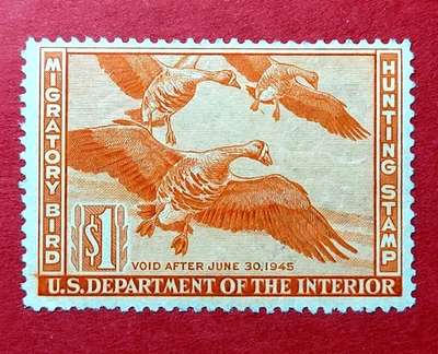 RW11 $1 – 1944 Migratory Bird Hunting Stamp – MNH - FVF - Image 1 of 4