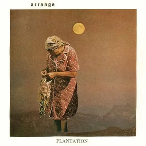 Arrange Plantation Arranged Recordings Vinyl LP - Bild 1 von 1
