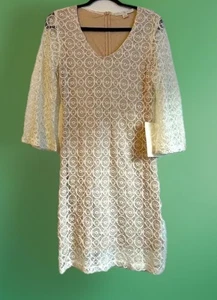 Boston abito corretto cerchio pizzo Popover Fairy Cottage core manica a campana NUOVO - Foto 1 di 12