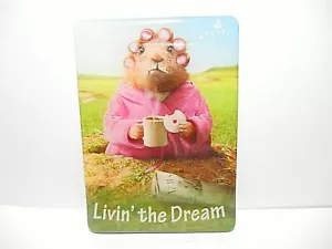 LIVIN' THE DREAM CUTE REFRIGERATOR MAGNET 2-1/2" X 3-1/2" - Picture 1 of 4