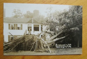 Umgestürzter Baum Sturm Boscawen NH RPPC - Bild 1 von 2