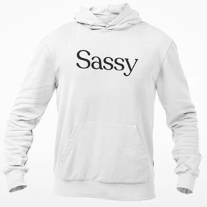Sassy Meme Hoodie Hooded Sweatshirt Sarcastic Pride Adult Novelty Funny Gay Gift - Picture 1 of 4