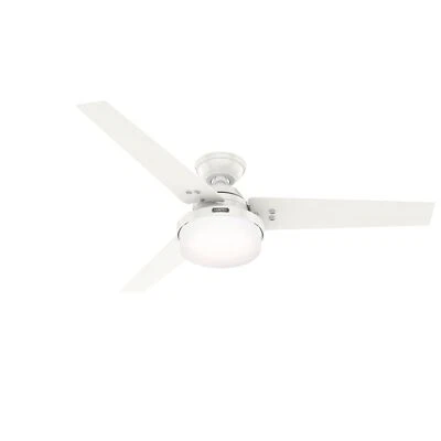 Ceiling Fan with Lighting Sentinel 132cm Hunter Ventilator Wall Switch - Image 1 of 4