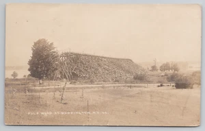 RPPC Waddington NY Pulp Wood Stack Next to the Saint Lawrence River Logging 1910 - Picture 1 of 5