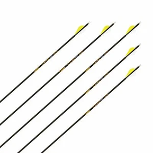 6x Komplettpfeil | GOLD TIP Velocity Pro - Carbon | Spine 600 | Länge: 28,5 Zoll - Bild 1 von 1