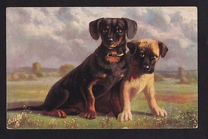 c1910 Tuck Favourite Dog Serie Paar Welpen Postkarte - Bild 1 von 2