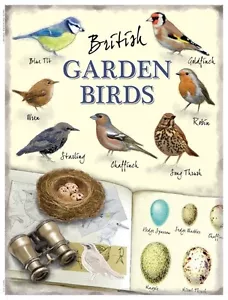 Letrero grande de acero British Garden Birds 400 mm x 300 mm (og) - Imagen 1 de 1