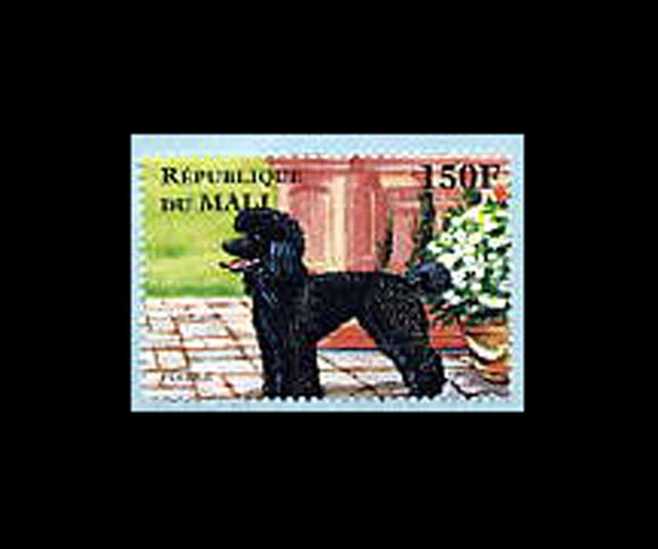 Malí, Sc #824h, MNH, 1997, Caniche Perro Foto 1 de 1