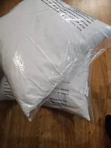 Pack of 2 - Pottery Barn Down Pillow Inserts 22x22 - Picture 1 of 4