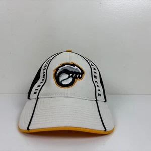 47 Brand New Hampshire Fisher Cats Strapback Hat Minor League Baseball - Picture 1 of 7