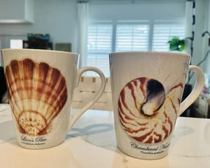 Captiva Coffee Mugs Cups nautilus/ Lion Paw Florida Marketplace Set of 2 - Picture 1 of 6