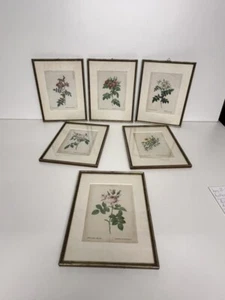 6 Stück Blumenstilleben Colorierte Lithografie gerahmt - Bild 1 von 8