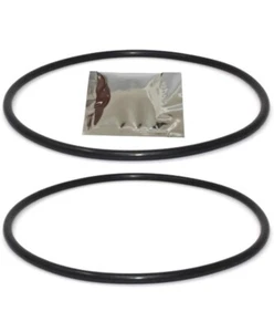 192323 O Ring For Pentair Pool And Spa 2 Pack - Picture 1 of 1