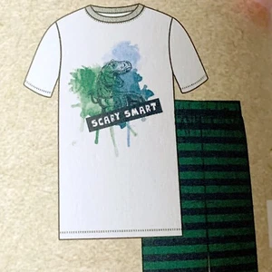 Boys 2 Piece Pajama Set Sz S 6/7 Dinosaur Scary Smart Green Blue Stripes - Picture 1 of 10