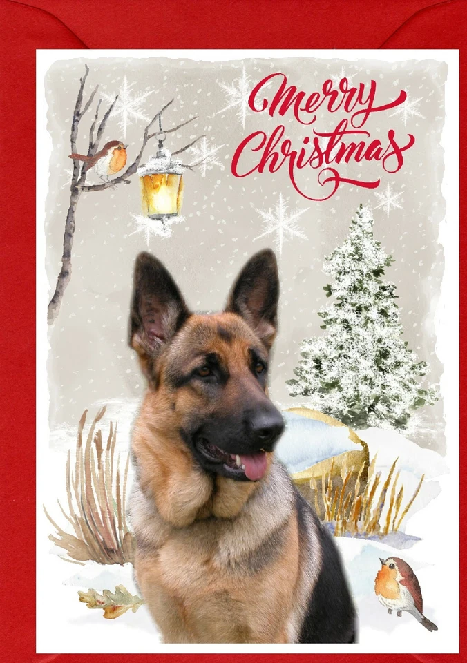 German Shepherd Dog A6 (4" x 6") Christmas Card - Blank inside - by Starprint