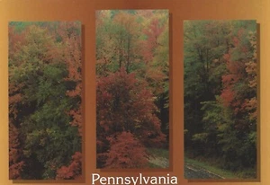 Postcard fall foliage Pennsylvania - Picture 1 of 2