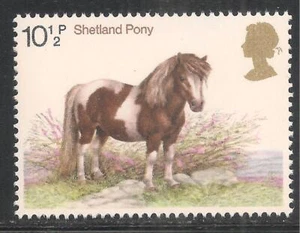 Great Britain #840 (A283) VF MNH - 1978 10 1/2p Shetland Pony - Picture 1 of 1
