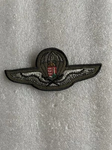 HUNGARY Para Recon Airborne Wing ( UA ) NCO - Imagen 1 de 2
