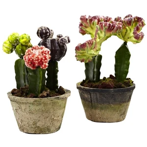 ARTIFICIAL RED PURPLE GREEN CACTUS REALISTIC FAKE TROPICAL PLANTS - (SET OF 2) - Picture 1 of 3