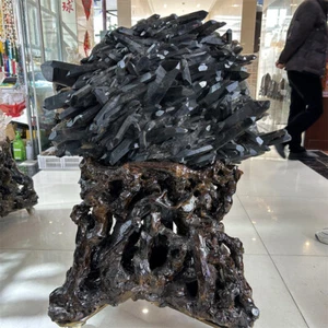 156 Pfund natürlicher schwarzer Rauchquarz Kristall Cluster rohes Mineral Probenständer - Bild 1 von 19