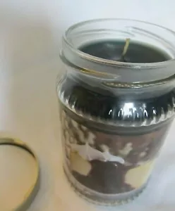 NEW Home & Garden Party "Blueberry Cheesecake" 10 oz Jar Candle MADE IN USA - Picture 1 of 3