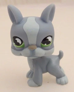 Littlest Pet Shop ❀ LPS ❀ Perro azul, Boston Terrier, ojos de murciélago 857 - Imagen 1 de 3