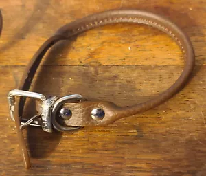 Bret Michaels Brown Rolled Leather Large 1x19” (13.5-17.5") Dog Collar NEW! - Picture 1 of 5