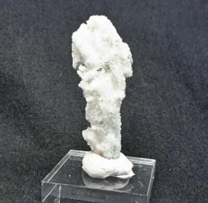39mm RAM'S HORN SELENITE from Santa Eulalia Mining District, Chihuahua, Mexico - Picture 1 of 5