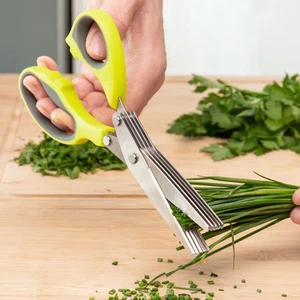Kräuterschere 5 in 1 Fivessor InnovaGoods - Bild 1 von 8
