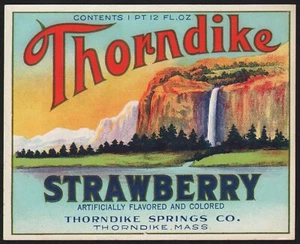 Vintage soda pop bottle label THORNDIKE STRAWBERRY waterfall pic Massachusetts - Picture 1 of 2