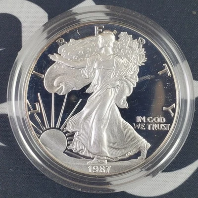 Águila de plata fina 1987 prueba de Estados Unidos - 1 oz .999 redonda de plata sin certificado de autenticidad/caja Foto 1 de 2