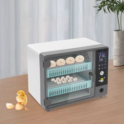 24 Eggs Incubator with Automatic Egg Turning Incubator for Chicken Eggs 55W - Image 1 of 4