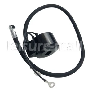 Lawnmower Ignition Coil For Craftsman Tecumseh 30560 30546 Phelon FG6240 Clinton - Picture 1 of 10
