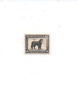Newfoundland mint hinged MH 261 dog - Picture 1 of 2