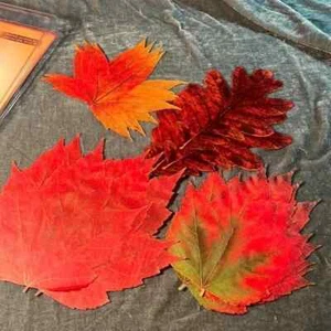 DECO PARCHMENT LEAVES FOOD SAFE SET OF 20 - Picture 1 of 3