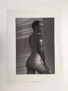 BEAUTIFUL DIANA AND MARLO,'TIGER' RARE AUTHENTIC 1980 ART PRINT   - Picture 1 of 7