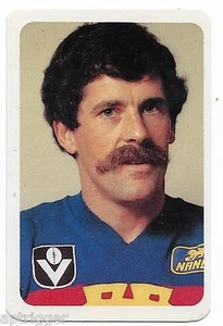 1981 VFL Ardmona Big League Series 1 FITZROY David McMAHON - Bild 1 von 1