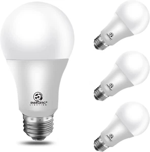 Energetic 100W Equivalent, A19 LED Light Bulb, Warm White 3000K, E26 Base, Non-D - Picture 1 of 8